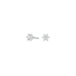 Diese feinen Damen-Ohrstecker aus 925 Sterling Silber mit funkelndem Zirkonia in filigraner Sternfassung sind ein eleganter Schmuckklassiker für stilbewusste Frauen.