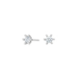 Diese feinen Damen-Ohrstecker aus 925 Sterling Silber mit funkelndem Zirkonia in filigraner Sternfassung sind ein eleganter Schmuckklassiker für stilbewusste Frauen.