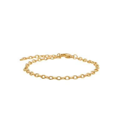 Feines Herrenarmband aus hochwertigem Edelstahl in Silber und Gold mit klassischer Ankerkette und verstellbarer Länge für stilbewusste Herren.